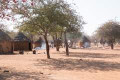 Himba Village, Otjikandero