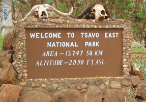 East Tsavo N.P.