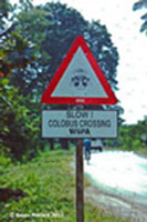 Cobobus Crossing Sign