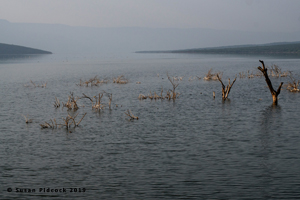 Lake Bogoria