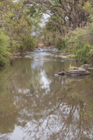 Rojewero River