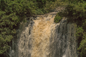 Thomson's Falls