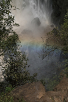 Thomson's Falls and Rainbow