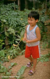 Little boy, Thai Village