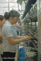 Suzhou Silk Mill