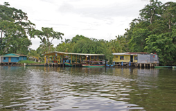 Canals, Tortuguero Park