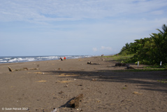 The beach, Tortuguero