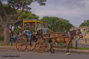 Horse Drawn Carriage, Mdina