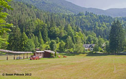 Farm near Kranjska Gora