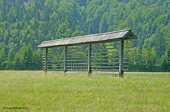 Hay Dryer near Kranjska Gora