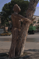 Tree Statue, Bulevardi Deshmoret and Kombit avenue