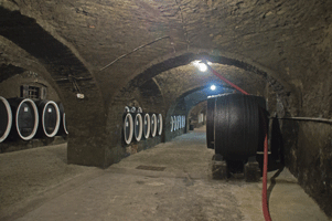 Cellar, Kutjevo Winery