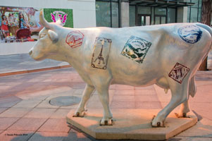 Concret Cow, 16th Street