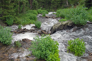  Tyndall Creek