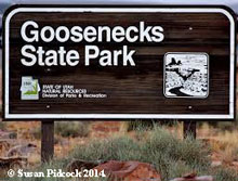 Gooseneck State Park