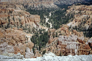 View of Bryce