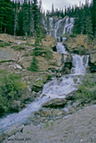 Tangle Falls