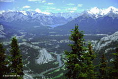 View from Sulphur Mountain
