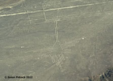 Nazca Lines, Hummingbird